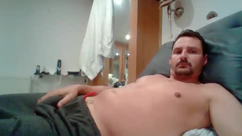 bearboudior online show from 6, 5, 2026