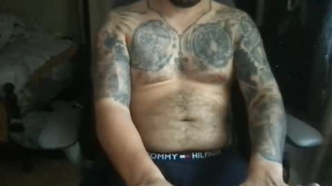 Snapshot of bearcito94 chatting on 8, 5, 2026 Bearcito online show from 8, 5, 2026