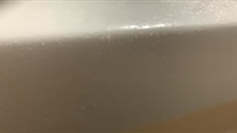 love2seeudear online show from 5, 12, 2025