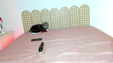 Snapshot of beautyraf chatting on 18, 12, 2025 Beautyraf online show from 18, 12, 2025