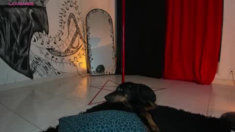 Snapshot of beelzebosss chatting on 5, 1, 2025 Daniela ur fav living dead girl online show from 5, 1, 2025