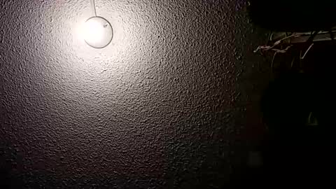 Demian online show from 21, 10, 2025