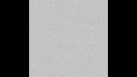 Zia online show from 2, 12, 2024