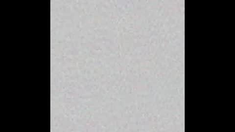 Zia online show from 11, 9, 2025