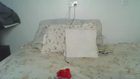 Snapshot of bellah8 chatting on 24, 2, 2026 bellah online show from 24, 2, 2026