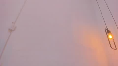 Bellota Flak online show from 28, 12, 2024