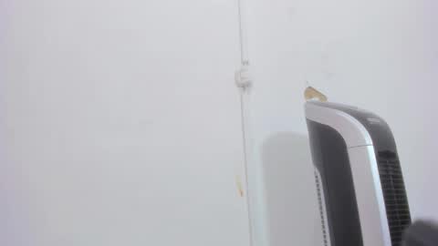 Bellota Flak online show from 30, 12, 2024