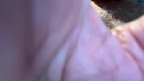 benz10001 online show from 13, 9, 2025