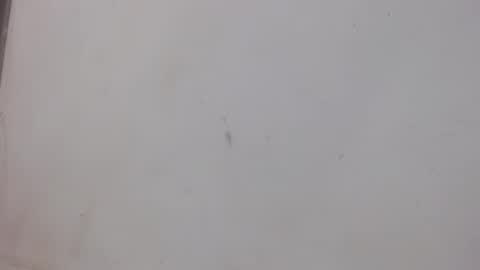 Bergon77 online show from 1, 2, 2025