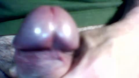 bersekbek online show from 12, 5, 2026