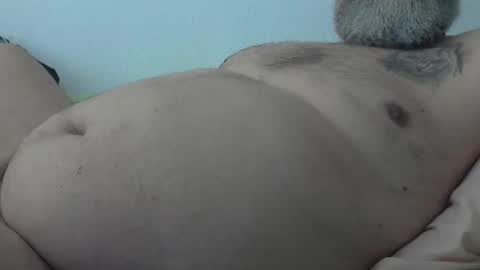 betnlose online show from 7, 4, 2026