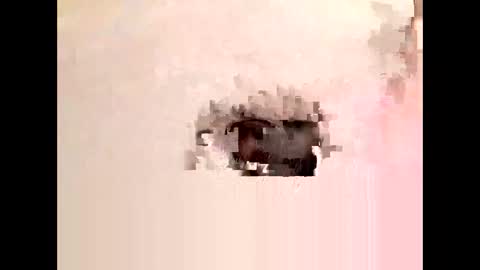 Cock arabic Authentic online show from 11, 11, 2025