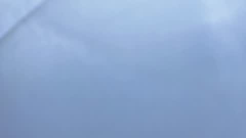 Betty online show from 6, 11, 2025