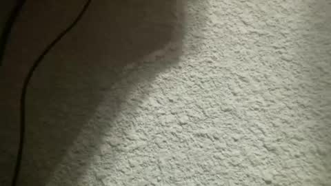 Snapshot of bgf32054 chatting on 4, 2, 2025 Bigfish123 online show from 4, 2, 2025