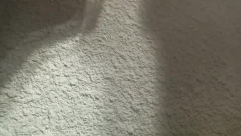 Snapshot of bgf32054 chatting on 12, 3, 2025 Bigfish123 online show from 12, 3, 2025