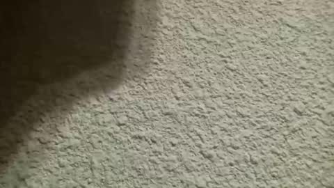 Snapshot of bgf32054 chatting on 10, 10, 2025 Bigfish123 online show from 10, 10, 2025