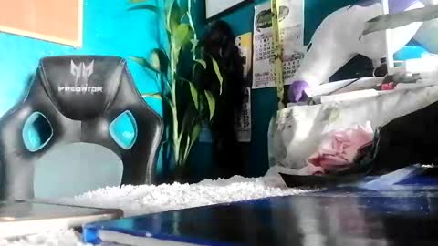 Snapshot of bheb_ji chatting on 15, 2, 2026 bheb_ji online show from 15, 2, 2026