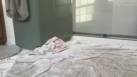 bi3269 online show from 25, 3, 2026