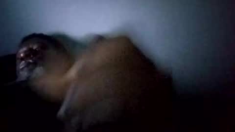 bi582945 online show from 14, 2, 2026