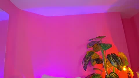 Bianca online show from 19, 12, 2024