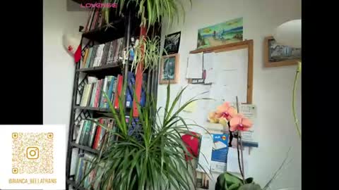 Bianca Transgirl online show from 9, 6, 2026