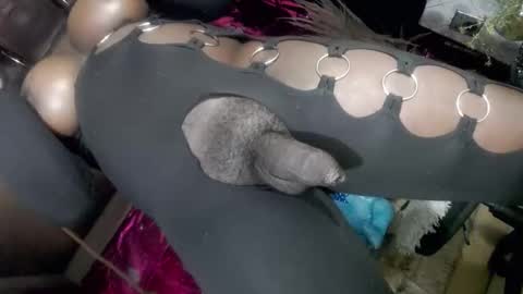 Snapshot of big_trans chatting on 14, 1, 2026 big_trans online show from 14, 1, 2026