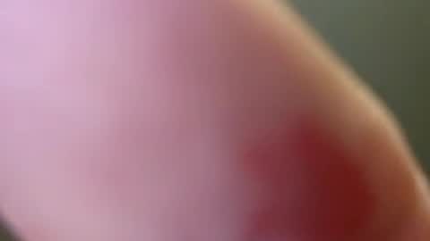 Snapshot of bigbennyflex chatting on 6, 7, 2026 bigbennyflex online show from 6, 7, 2026