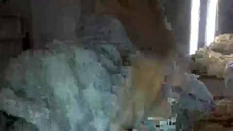 Snapshot of bigbootydimpless chatting on 12, 12, 2024 bigbootydimpless online show from 12, 12, 2024