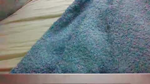 Snapshot of bigbootydimpless chatting on 4, 1, 2025 bigbootydimpless online show from 4, 1, 2025