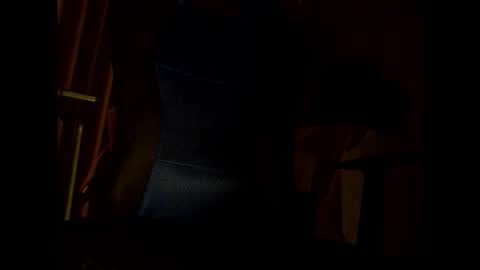 Snapshot of bigbro0007 chatting on 25, 11, 2025 bigbro0007 online show from 25, 11, 2025