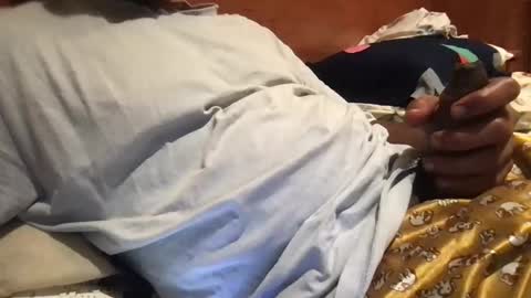 bigbrown_boy online show from 21, 9, 2025