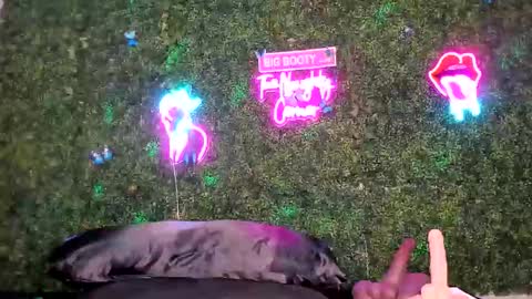 bigbuttsarena online show from 2, 5, 2026