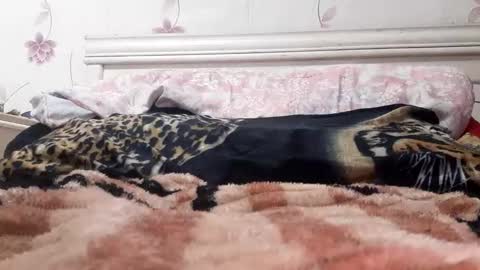 bigcock977654 online show from 23, 2, 2025