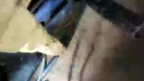 bigcockj808209 online show from 10, 7, 2026