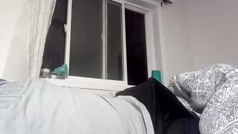 bg online show from 18, 12, 2024