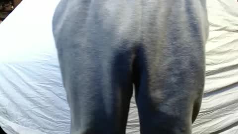 Snapshot of bigdickdaddy567130413 chatting on 15, 1, 2025 bigdickdaddy567130413 online show from 15, 1, 2025