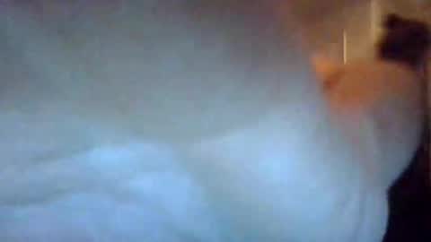 bigdickdaddy7201979564868 online show from 22, 9, 2025