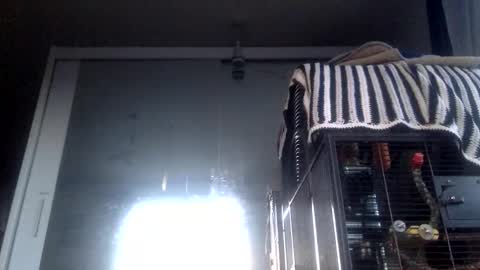 bigdickdangles472924 online show from 19, 9, 2025