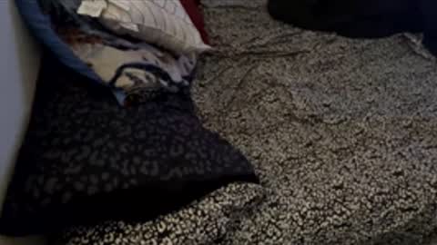 Snapshot of bigdickpapishampoo chatting on 28, 11, 2025 bigdickpapishampoo online show from 28, 11, 2025