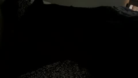 Snapshot of bigdickpapishampoo chatting on 1, 12, 2025 bigdickpapishampoo online show from 1, 12, 2025