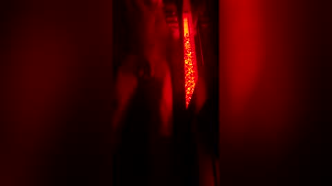 Snapshot of bigdickpapishampoo chatting on 23, 12, 2025 bigdickpapishampoo online show from 23, 12, 2025