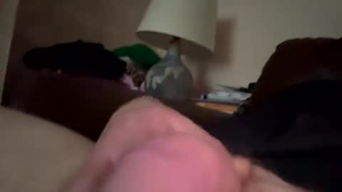 biggloves4bighands online show from 21, 12, 2025