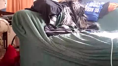 bigmanaround9 online show from 11, 12, 2024