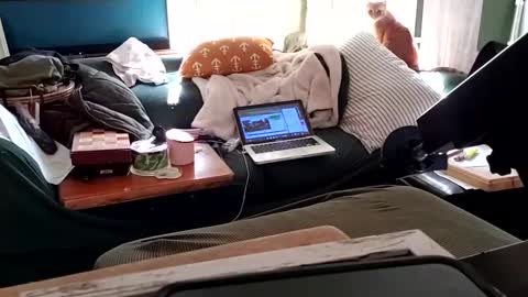 bigmanaround9 online show from 3, 2, 2025