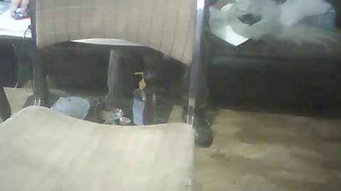 bigpenix online show from 17, 10, 2025