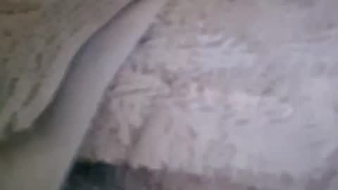 bigsssnake69 online show from 9, 7, 2026