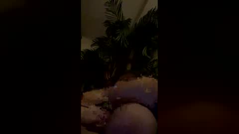 bigtitopal online show from 6, 1, 2026