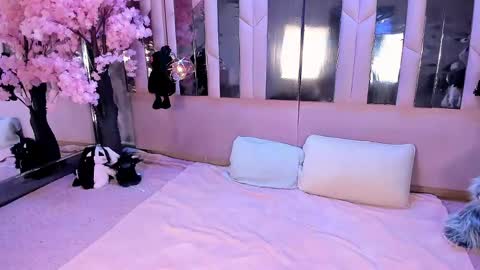 Biizzy online show from 6, 5, 2026