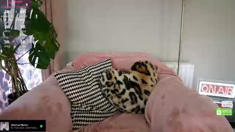 Snapshot of billiexxox chatting on 26, 6, 2026 Billie online show from 26, 6, 2026