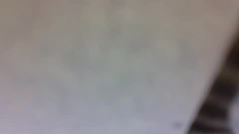 billmenow141 online show from 10, 3, 2025